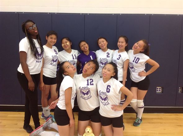 Silly Team